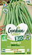 GONDIAN - Graines de haricot vert bio - Maxi Gondian - 50cm - vignette