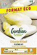 GONDIAN - Chicorée Platine HF1 - Endive à forcer - Graines potagères - vignette