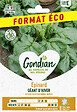 GONDIAN - Graines d'épinard Géant d'Hiver - Résistant au froid - vignette