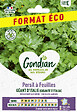 GONDIAN - Persil à feuilles Gigante d'Italia Géant d'Italie Gondian - vignette