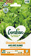 GONDIAN - Chicorée Améliorée Blonde Gondian - vignette