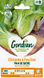 GONDIAN - Chicorée Pain de Sucre - Graines potagères automne - 6 g - vignette