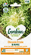 GONDIAN - Chicorée de Ruffec - Légume feuille - Variété d'automne - vignette