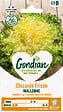 GONDIAN - Chicorée Wallonne Lorca - Graines - Résistante au gel - vignette