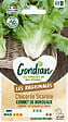 GONDIAN - Chicorée Cornet de Bordeaux - Bande de semis - Hiver - vignette