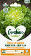 GONDIAN - Chicorée Ronde Verte à Coeur Plein Gondian - vignette