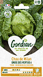 GONDIAN - Chou de Milan Gros des Vertus 4 Gondian - vignette