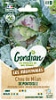 GONDIAN - Chou de Milan de Pontoise 2 Gondian - vignette