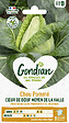 GONDIAN - Chou Pommé Cœur de Bœuf Moyen - 3g - vignette