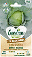 GONDIAN - Chou pommé Quintal d'Alsace - variété tardive et rustique - vignette