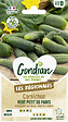 GONDIAN - Cornichon Vert Petit de Paris Gondian - vignette