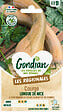 GONDIAN - Courge Musquée de Nice à Fruits Longs - Graines - Potager - vignette