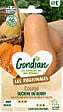 GONDIAN - Potiron Sucrine du Berry Gondian - vignette