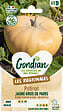 GONDIAN - Graines de Potiron Jaune Gros de Paris - 0.5 kg - vignette