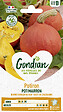 GONDIAN - Graines de potiron Potimarron Gondian - Orange foncé - vignette
