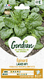 GONDIAN - Épinard Lagos - Hybride F1 - Variété printanière - vignette