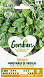 GONDIAN - Graines d'épinard Monstrueux de Viroflay - Feuilles 25cm - vignette