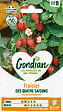 GONDIAN - Fraisier des 4 Saisons Gondian - vignette