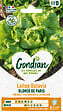 GONDIAN - Laitue Blonde de Paris - vignette
