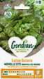 GONDIAN - Laitue Maravilla de Verano Gondian - vignette