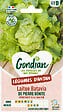 GONDIAN - Laitue Batavia Pierre Bénite - Pleine terre - Graines 0,5 kg - vignette