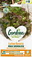 GONDIAN - Graines Laitue Rouge Grenobloise - Pomme ferme - Croquante - vignette