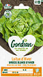 GONDIAN - Laitue Grosse Blonde d'Hiver - Salade potagère - Printemps - vignette