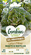 GONDIAN - Laitue Rougette de Montpellier - Résistance au froid - vignette