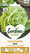 GONDIAN - Laitue Appia Gondian - vignette