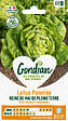 GONDIAN - Graine de laitue pommée Reine de Mai - 4 g - vignette