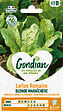 GONDIAN - Laitue Blonde Maraîchère Gondian - sachet de graines - vignette