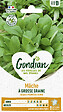 GONDIAN - Mâche à Grosse Graine Gondian - vignette