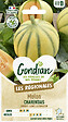 GONDIAN - Graines de melon Charentais - Cantaloup - Variété rampante - vignette