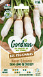 GONDIAN - Navet Demi-long de Croissy - semences - Précoce 40-50j - vignette