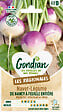GONDIAN - Navet-Légume de Nancy à Feuille Entière Gondian - vignette