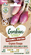 GONDIAN - Oignon Rossa di Firenze Rouge Long de Florence Gondian - vignette