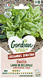 GONDIAN - Oseille Large de Belleville Gondian - vignette