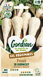 GONDIAN - Graines de panais - Guernesey - Variété ancienne - vignette