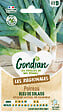 GONDIAN - Graines de poireau Bleu de Solaise - 0,5 kg - vignette