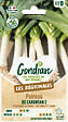 GONDIAN - Poireau de Carentan 2 - Variété rustique - Sachet de graines - vignette