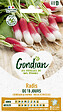 GONDIAN - Semence de radis - Radis de 18 Jours - Précoce - vignette