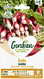 GONDIAN - Radis Bamba Gondian - vignette