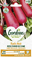 GONDIAN - Radis Rose d'Hiver de Chine - Variété ancienne - 10-12cm - vignette