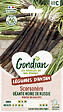 GONDIAN - Scorsonère Géante Noire de Russie Gondian - vignette
