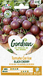 GONDIAN - Tomate Black Cherry Gondian - vignette