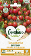 GONDIAN - Tomate Sweetbaby Gondian - vignette