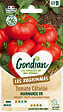 GONDIAN - Tomate Marmande Gondian - vignette