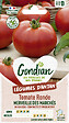 GONDIAN - Tomate Merveille des Marchés - Graines - Fruit rouge 150g - vignette