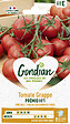 GONDIAN - Graine de tomate Premio HF1 - Variété hybride F1 - vignette