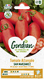 GONDIAN - Tomate San Marzano 2 Gondian - vignette